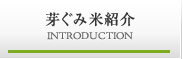 芽ぐみ米紹介