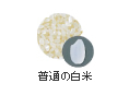 普通の白米