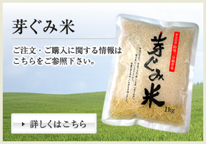 芽ぐみ米のご注文・ご購入に関しての情報はこちら